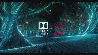 Dolby Cinema at AMC Prime  Pre Show [upl. by Hachman]