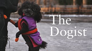 The Dogist [upl. by Sidnee]