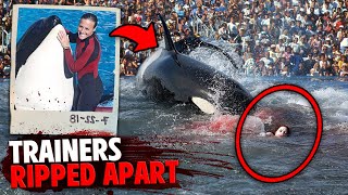 This Killer Orca DISMEMBERED 3 People In Front of Audience At Seaworld [upl. by Demaggio305]