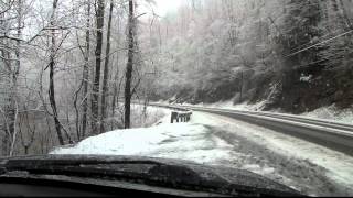 West Virginia Snowstorm Driving [upl. by Luigi]