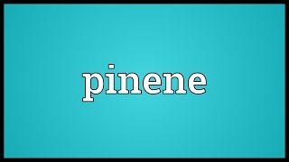 Pinene Meaning [upl. by Noda952]