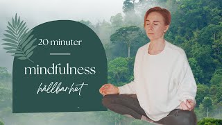 20 min MINDFULNESS FÖR HÅLLBARHET med breathwork amp affirmationer Guidad meditation på svenska [upl. by Atinus]