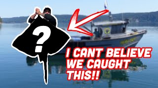 WE HAD THE CRAZIEST HALIBUT OPENER Must WATCH [upl. by Nowujalo]