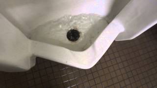 Bathroom tour Kohler Urnial and toilet at WMATA courthouse metro Station [upl. by Amjan829]