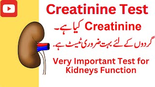 creatinine test kya hai normal range [upl. by Pollie]