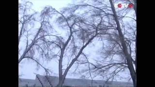 Blizzard Sweeps across Xinjiang NW China [upl. by Oeflein]