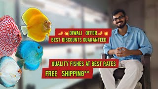 Discus at DISCOUNTED PRICE  Diwali offer  ACE DISCUS [upl. by Ayal]