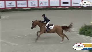 Laura Chapot US ridding Calafornia Ultimo  Lux  Pennsylvania Horse Show references [upl. by Henrik487]