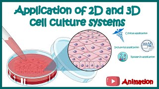 Application of 2D and 3D cell culture systems  Clinical Industrial and Research applications [upl. by Eiliak]