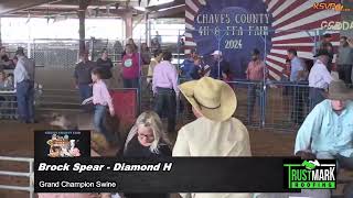 2024 Chaves County Fair Swine Show [upl. by Llen]