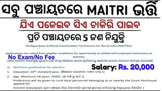 ଓଡ଼ିଶା ପଞ୍ଚାୟତ ସ୍ତରୀୟ ନିଯୁକ୍ତି 2024 Odisha Panchayat Maitri Recruitment 2024 Odisha Government Job [upl. by Introc]