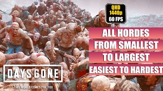 Days Gone ALL HORDES  Easiest to Hardest  Smallest to Largest Ranked By Size amp By Difficulty PC [upl. by Otilesoj59]