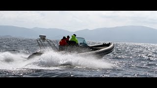 Goldfish 29  Fantastic boat trip Trondheim to Geiranger [upl. by Lleraj]