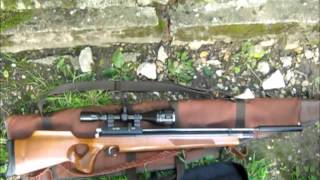 AirArms S310 177 air rifle [upl. by Llehcram]