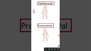 Cephalocaudal and Proximodistal 2023 ctet ctet2023 cdp [upl. by Nois]