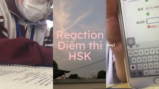 HSK REACTION  Tham gia thử kì thi HSK và kết quả bất ngờ （＾ω＾） [upl. by Elcarim]