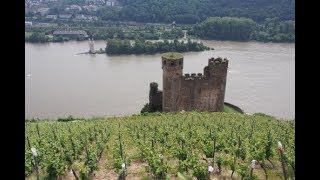 Visiting Leitz in Germanys Rheingau wine region [upl. by Kemeny473]