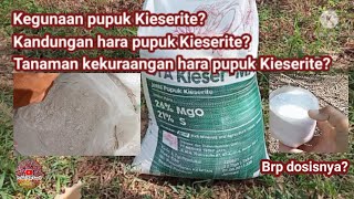 KEGUNAAN dan KANDUNGAN PUPUK KIESERITE untuk Kelapa Sawit [upl. by Tiny]