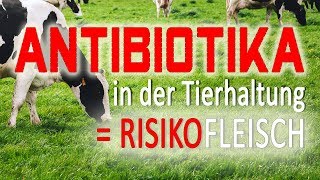 Antibiotika in der Tierhaltung und deren fatale Auswirkungen [upl. by Lindner]