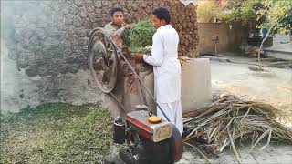 Grass Silage Grinder Machine for Agriculture and Farming  العشب الأعلاف آلة مطحنة العلف [upl. by Asatan]