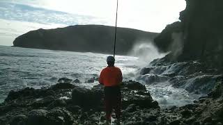 Fishing time Te Henga Bethells beach Auckland New Zealand [upl. by Melas]