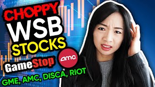 Day Trading Wall Street Bet Stocks GME AMC DISCA RIOT recap [upl. by Drud]