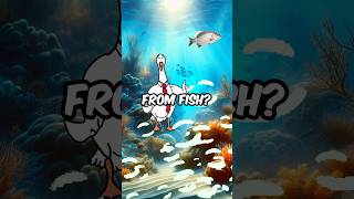 Could FISH Be Family animation shorts funny fyp [upl. by England]