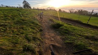 Zugerberg at sunset [upl. by Neona]