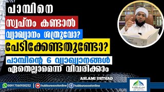 പാമ്പിനെ സ്വപ്നം കണ്ടാൽ വ്യാഖ്യാനം ശത്രുവോ  Latest Speech  Aslami Usthad  Hubburasool Online [upl. by Annehs432]