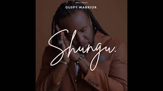 Guspy Warrior  Shungu Official Audio [upl. by Keeryt121]