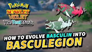 Pokemon Scarlet amp Violet How to evolve BASCULIN into BASCULEGION  The Teal Mask DLC [upl. by Avehs]