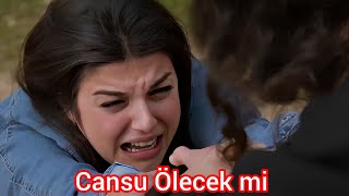 Kardeşlerim 131 Bölüm Fragman Analizi Cansuya ne olacak [upl. by Micky]