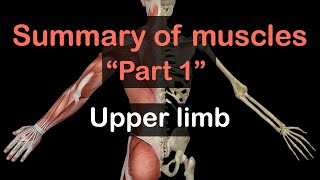 QUICK REVISION OF UPPER LIMB DISSECTION FOR ANATOMY VIVA  PRACTICAL PART1  BY DR MITESH DAVE [upl. by Oigile]