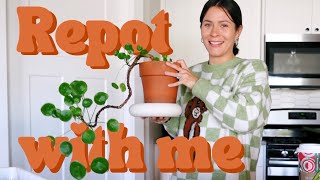 Lets repot houseplants Plant Care Hang Out Vlog [upl. by Culhert]