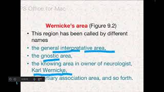 FUNCTIONS OF THE SPECIFIC CORTICAL AREASPART3 [upl. by Notslah440]