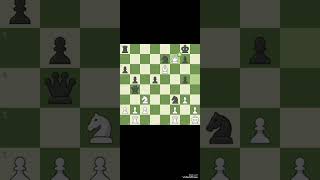 Bishop quotforcedquot CHECKMATE ❗♟️Chess [upl. by Petrick]