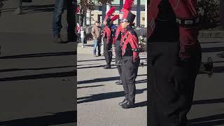 Baldwinsville Marching Bees at the Veterans Day Parade in Syracuse [upl. by Aicertal]