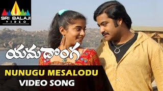 Yamadonga Video Songs  Nunugu Misalodua Video Song  JrNTR Priyamani  Sri Balaji Video [upl. by Uzzial540]