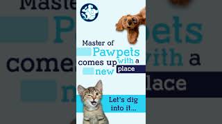 Master of Pawpets  Walk Through  Premium Pet Care Services in Delhi amp Gurgaon [upl. by Weir]