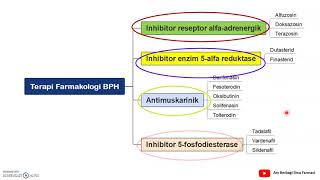 Mindmap Farmakologi Benign Prostatic Hyperplasia BPH Part4 [upl. by Patrizia]