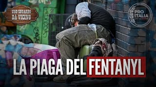 La piaga del Fentanyl  Uno sguardo da Vicino [upl. by Notfa287]