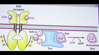 Aherns Biochemistry 20 Signaling and Metabolic Energy [upl. by Shumway]