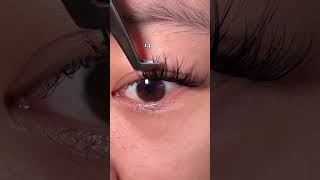 Wispy DIY Lash Mapping for Beginners 12 14 16 14 diylashextensions lashes lashtech makeup [upl. by Yeliac]