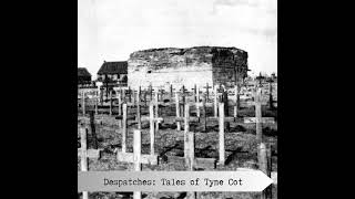 Despatches Tales of Tyne Cot [upl. by Cowey786]