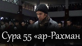 Сура 55 «арРахман» Милосердный Музаммиль Хасбалла [upl. by Ttehc193]