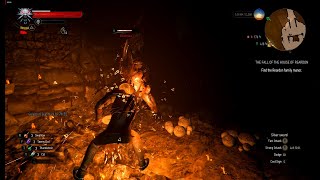 Dragonslayers Grotto with Ekimmara in the Dark Witcher 3 Next Gen Pure Sign Build early levels [upl. by Ecyaj453]