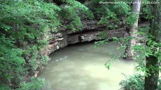 River Styx Spring in Mammoth Cave National Park 1080p [upl. by Aihseym]