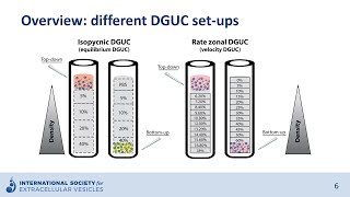 Density gradient ultracentrifugation to isolate extracellular vesicles [upl. by Windy]