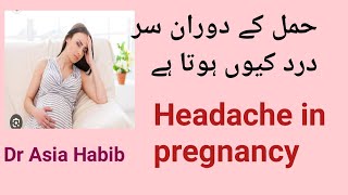 headache in pregnancyHamal k doran sar Dard kyun hota hay [upl. by Elysia898]