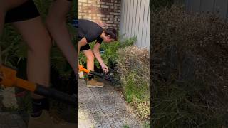 WORX Jawsawback in action2 year review yardwork landscape landscaping worx chainsaw [upl. by Ody941]